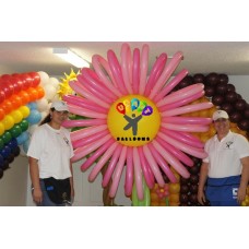 Balloon Decorating Classes 1, 2, 3 & 4